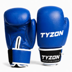 Boxing Fight Gloves