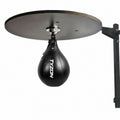 Boxing Speed Ball Set