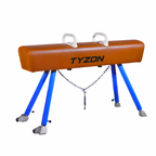 Gymnastic Pommel Horse